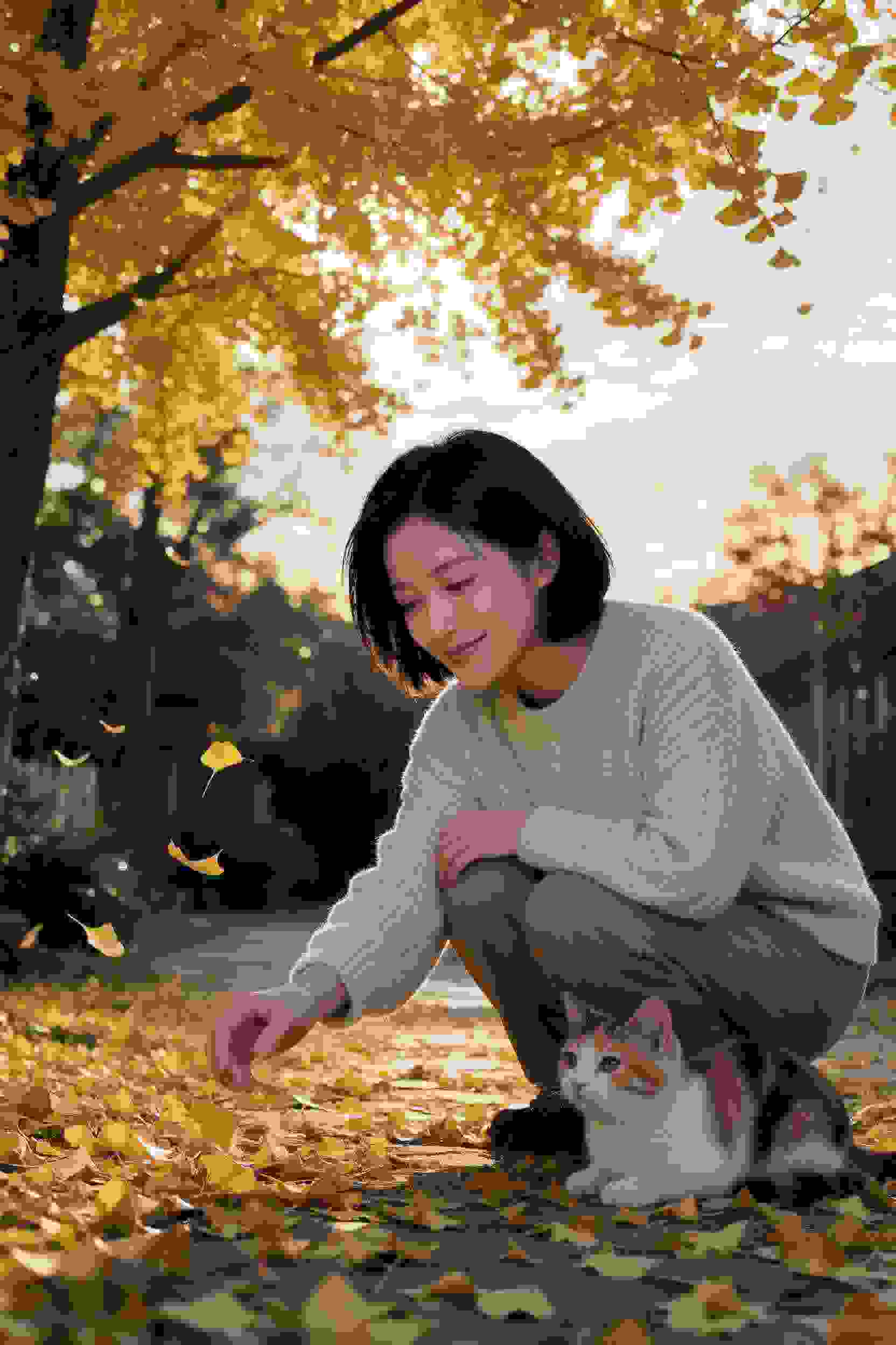 夜行书生的月亮